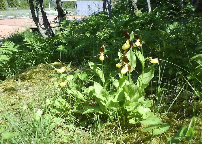 Parco vacanze Village Pivarootsi